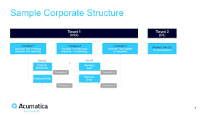 Multi-entity and Intercompany