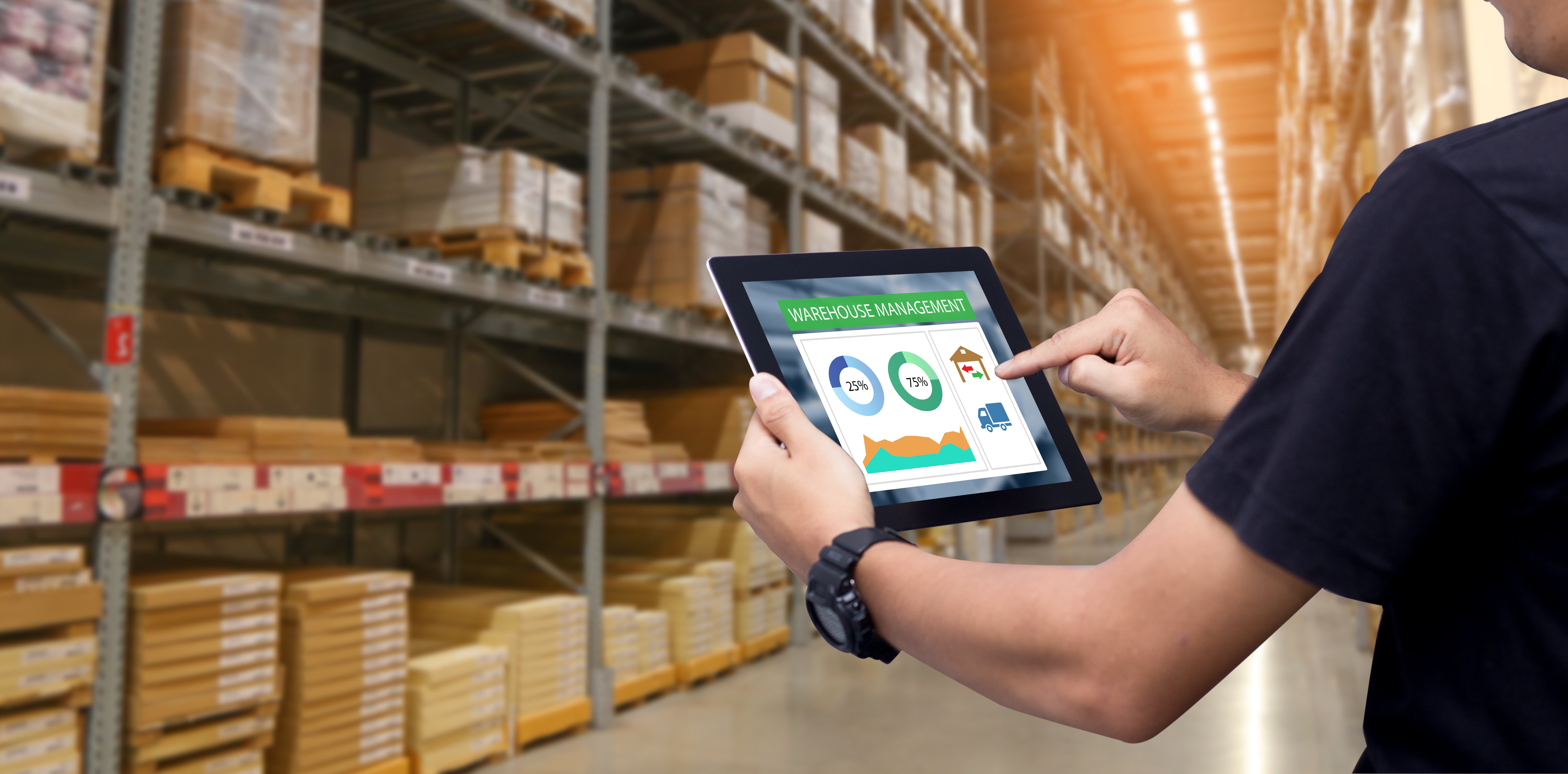 Warehouse Management Software